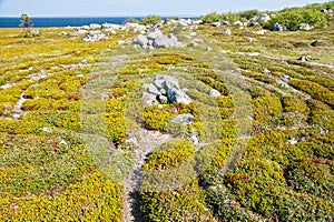 Stone labyrinth