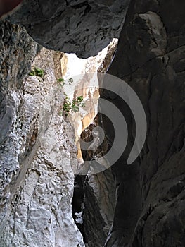 In the stone labyrinth of the Canyon SaklÄ±kent