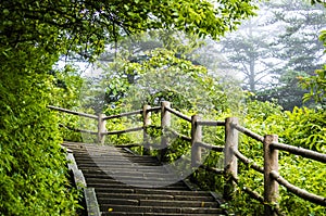 Stone ladder in Emei Mountain