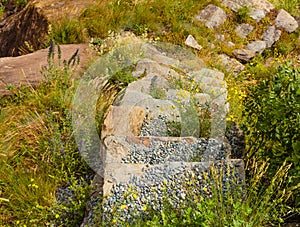 A stone ladder surrounded by vegetation and wild flowers and covered by pebbles