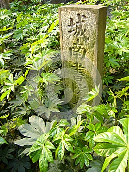 Stone landmark and the green(vetical) photo