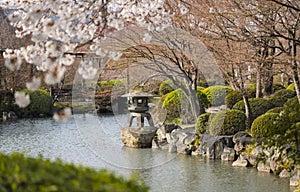 Stone lantern basket in Japanese garden of Toji in Kyoto in Japan with cherry blossoms