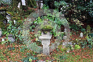 Stone lantern cover by lichen moss in the green garden at Jikko-in temple.
