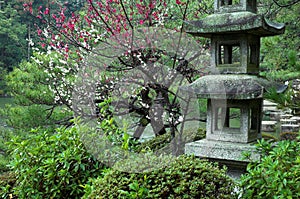 A stone lantern at a Japanese Garden in Kyoto, Japan