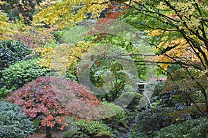 Stone Lantern Among Japanese Maple Trees in Autumn Season