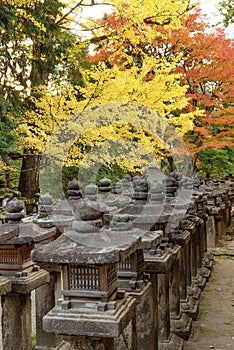 Stone lantern in Japanese shrine in Nara, Japan