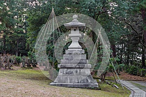Stone lantern and trees with protective winter ropes, or yukizuri, Nodoyama, Kanazawa, Ishikawa Prefecture, Japan photo