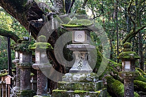 Stone lantern at shinto shrine