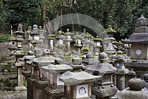 Stone lanterns at Kasuga Taisha shrine in Nara