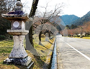 Stone lanterns lining the road