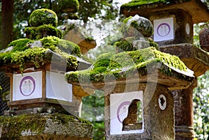 Stone Lanterns Nara, Japan