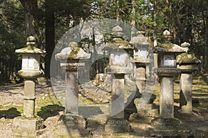 Stone lanterns in the Nara park in Japan during de Hanami