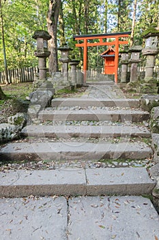 Stone lanterns and a Torii gate at the Kasuga Taisha Shrine in N