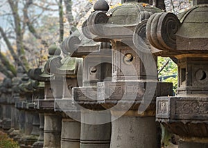 Stone Lanterns of Toshogu Shrine at Ueno Park in Tokyo