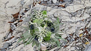 On the stone lies a wedding bouquet in the style of a boho, rustic.