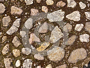 The stone-lined path