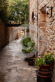 Stone-lined path in the old town of San Donato, Italy. photo