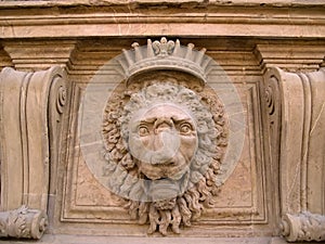 Stone Lion, Boboli Gardens, Florence