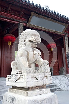 A stone lion in china