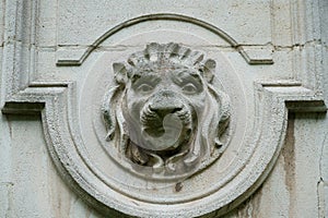 Stone lion in the faÃ§ade of a historic building photo