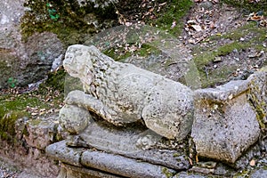 Stone lion at the famous Parco dei Mostri, also called Sacro Bosco or Giardini di Bomarzo. Monsters park. Lazio, Italy