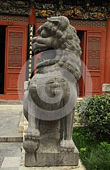 Stone lion guarding The Guildlhall Kaifeng