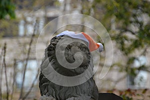 Stone Lion With Hat