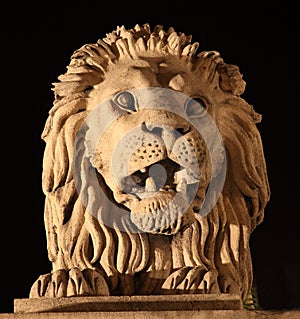 Stone Lion head