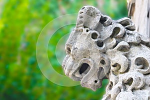 Stone lion near entrance to Smolenice castle in the summer near the town of Smolenice, Slovakia. Green background