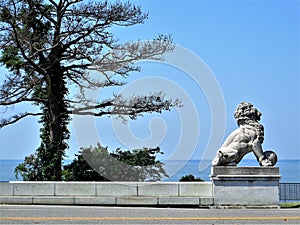 Stone lion, Newport News, Virginia photo