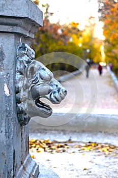 Stone lion's head.