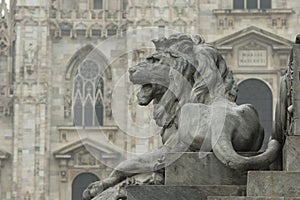 Stone Lion Sculpture in Milan