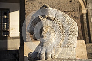 Stone lion sculpture at piazza plebiscito in naples
