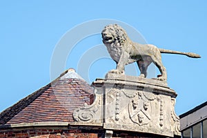 Stone Lion Sculpture Shrewsbury UK