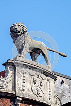 Stone Lion Sculpture Shrewsbury UK