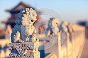 Stone lion sculptures photo