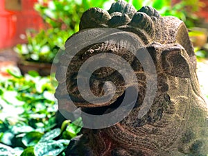 Stone lion sneak peek in the tropical garden.