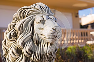 Stone lion statue. Marble Sculpture of a lion on pedestal