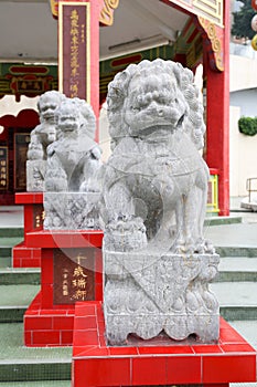 Stone lion statue in Repulse Bay Temple