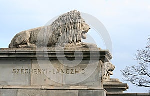 Stone lions