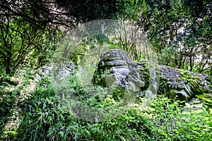 Stone lions in the forest