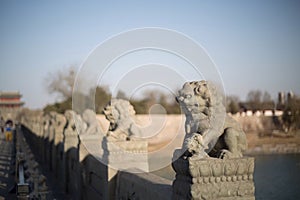 The stone lions on the Lugou Bridge, Beijing