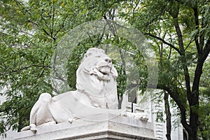 Stone lions, New York City Library