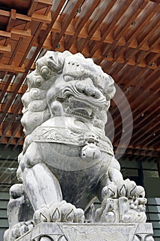 Stone lions placed in front of five-star hotels in China