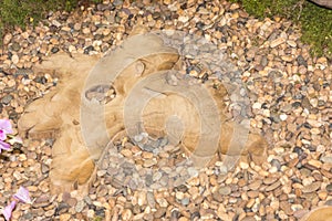 Stone and log walkway winding in garden