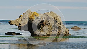 Stone mammoth, Tikhaya bay, Sakhalin