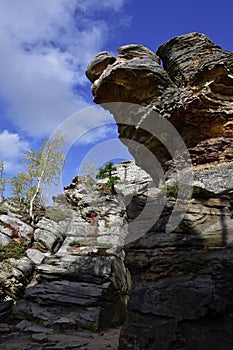 Stone megalith Big Turtle - the highest point in the Kamenny Gorod tract Chertovo Gorodishche