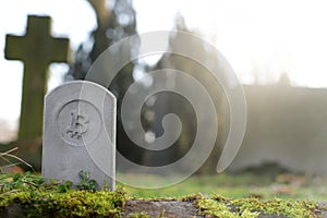 stone monument/tombstone with bitcoin symbol on cementery - economic/financial concept