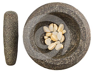 Stone Mortar, Pestle And Garlic I