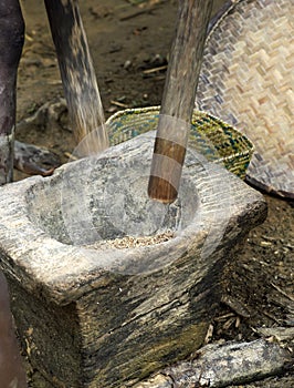 Stone mortar and wooden pestle for pounding rice photo